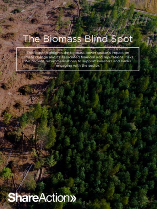 Biomass Blindspot Cover