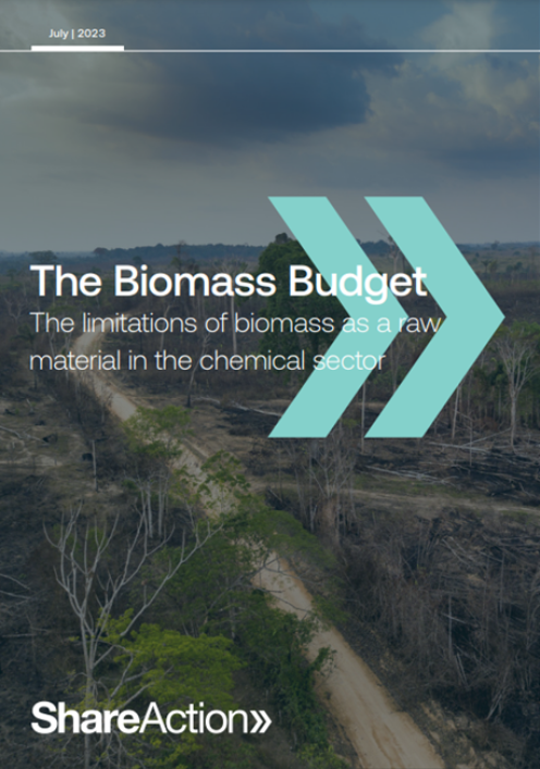 Biomass Briefing PDF cover