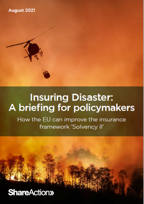 Insuring Disaster Policy Cover