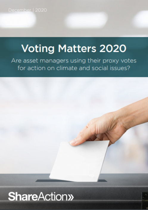 Voting Matters 2020 cover