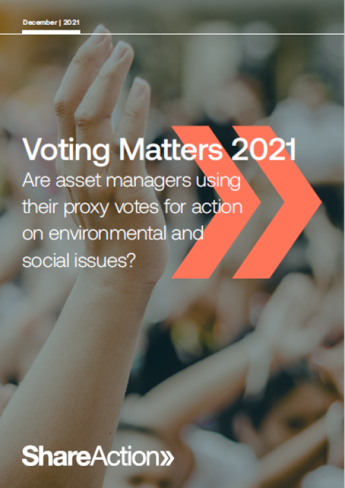 Voting matters 2021 cover