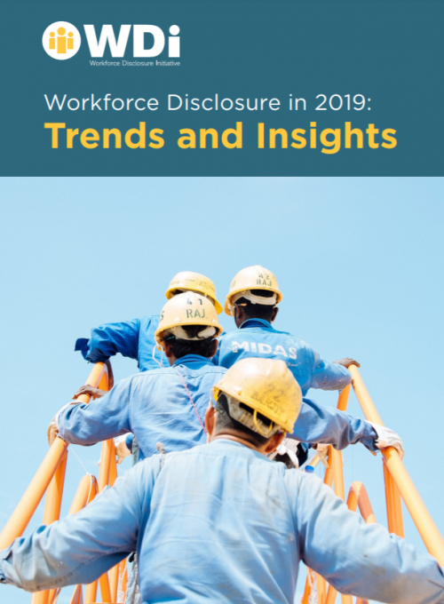 WDI 2019 findings cover