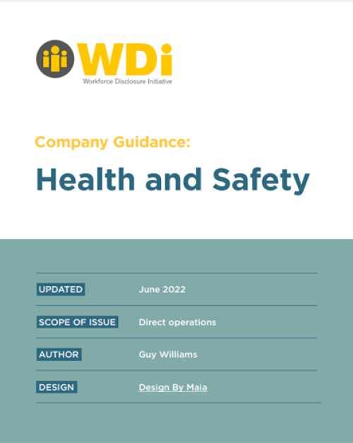 WDI Health Safety Report